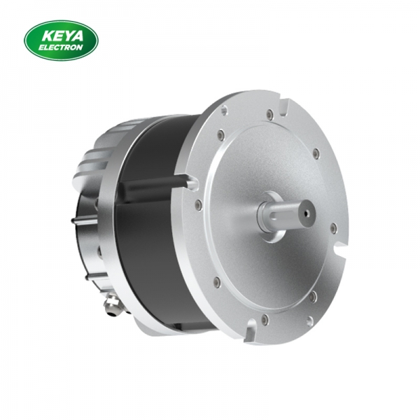 乐鱼电子(中国)有限公司官网215系列48V 4000W 1500RPM